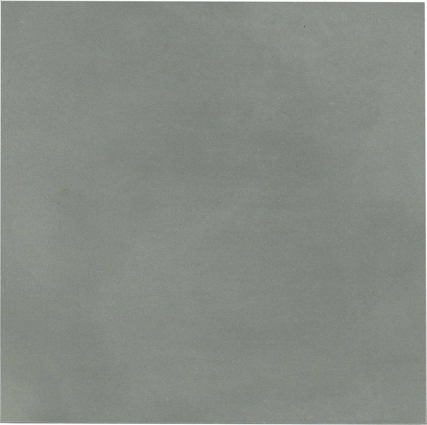 Authentic Unicolour Avoca Porcelain Tile 15 x 15cm-Delforno Tiles & Timber-Delforno