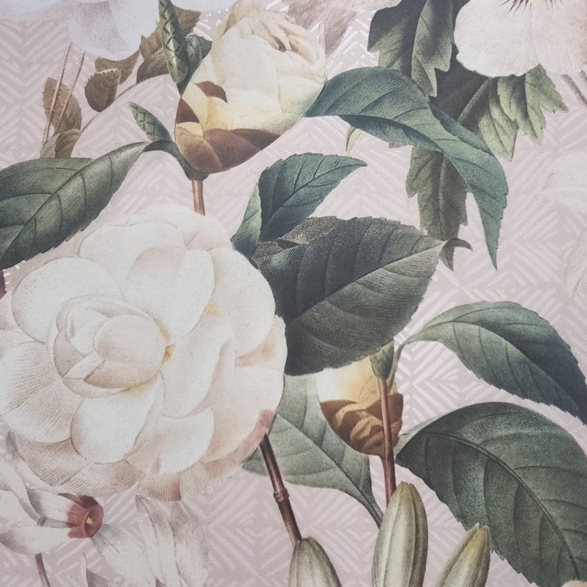 Deco Imagine Ikebana 1 Porcelain Tile 49 x 49cm-Delforno