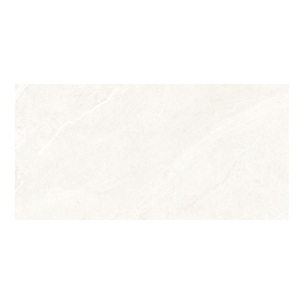 Dhara White Matt Porcelain Tile 29.52 x 59.52cm-Delforno