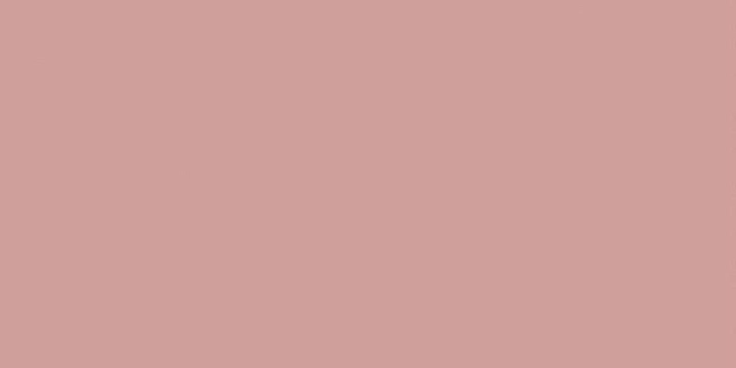 Flat Subway Collection Rosa Brillo Tile 10x20cm-Delforno-Delforno