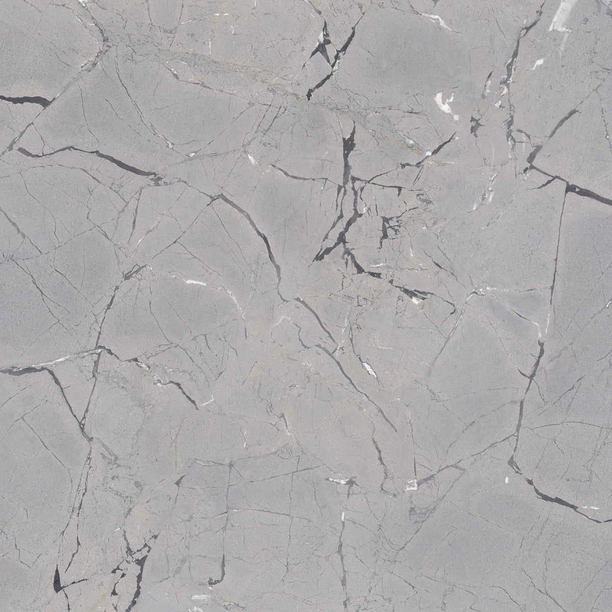Limbus Thunder Rectified Porcelain Tile 100 x 100cm-Delforno