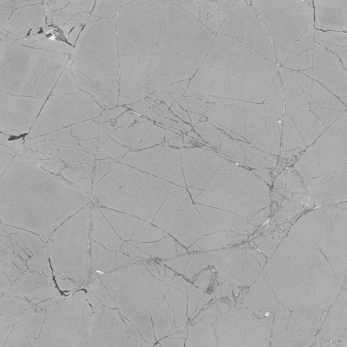 Limbus Thunder Rectified Porcelain Tile 100 x 100cm-Delforno