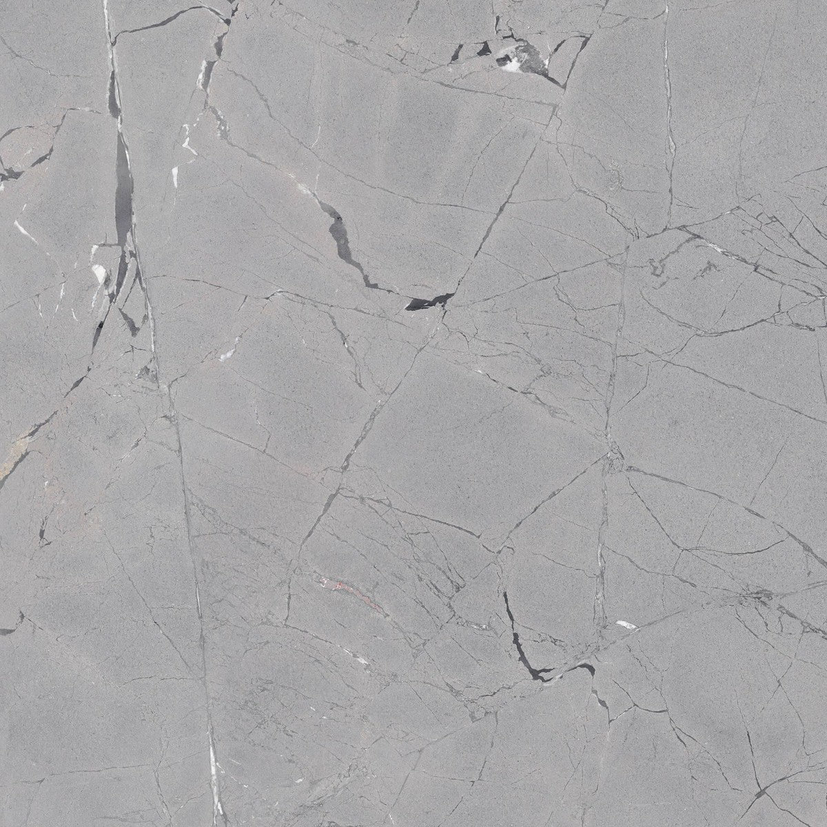 Limbus Thunder Rectified Porcelain Tile 100 x 100cm-Delforno