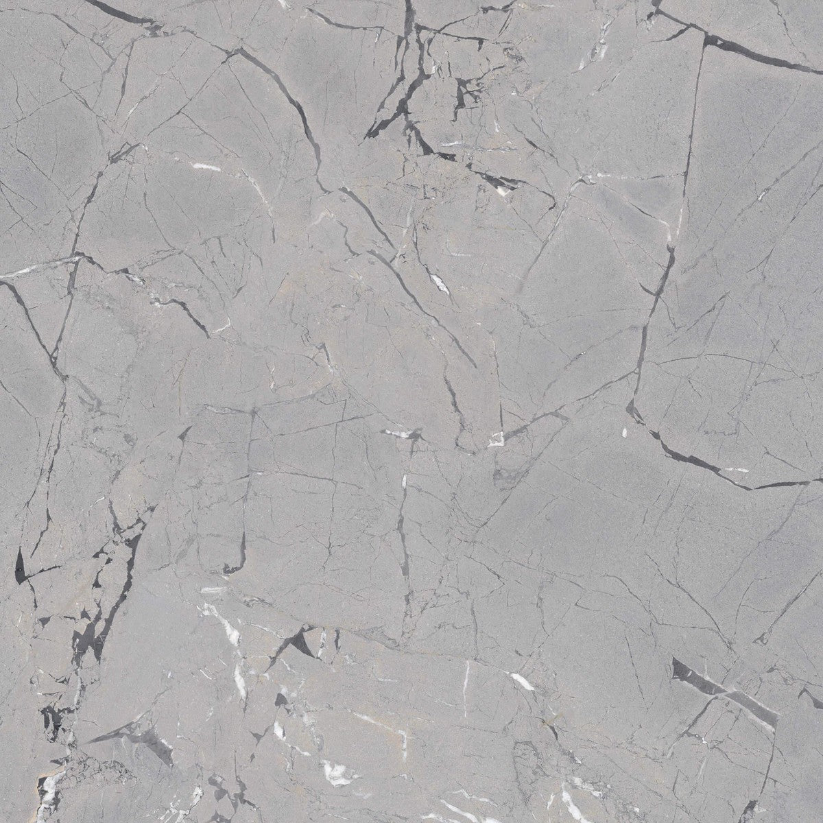 Limbus Thunder Rectified Porcelain Tile 100 x 100cm-Delforno