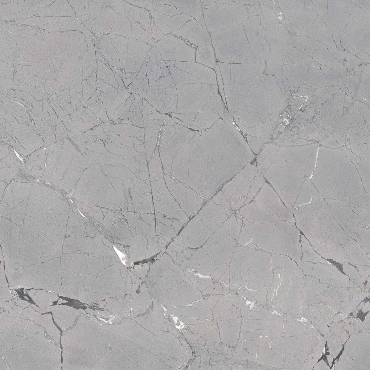 Limbus Thunder Rectified Porcelain Tile 100 x 100cm-Delforno