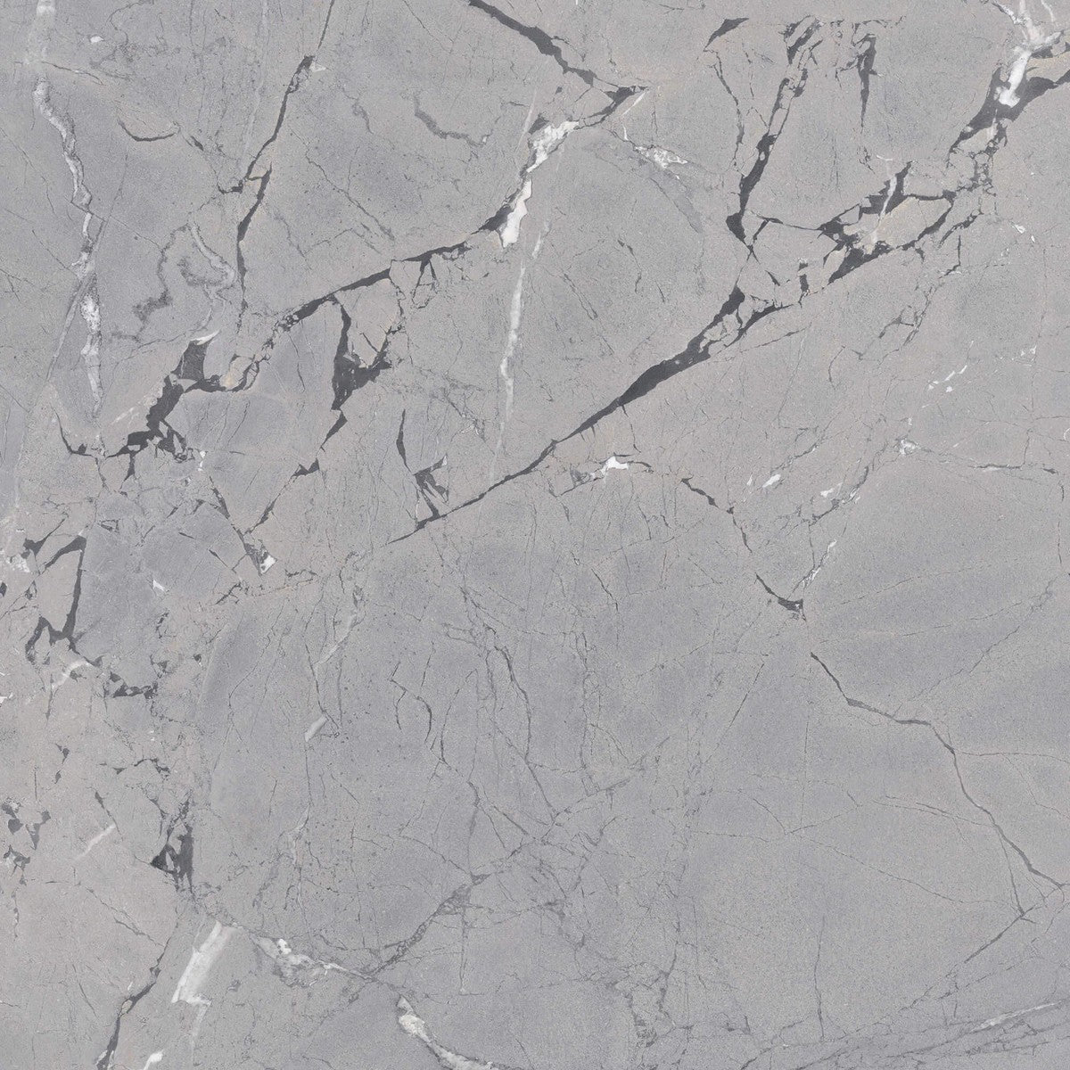 Limbus Thunder Rectified Porcelain Tile 100 x 100cm-Delforno