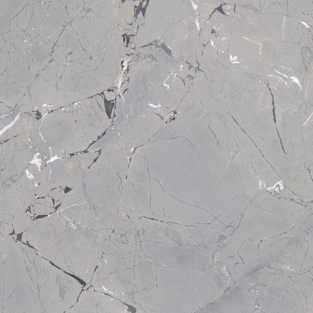 Limbus Thunder Rectified Porcelain Tile 100 x 100cm-Delforno