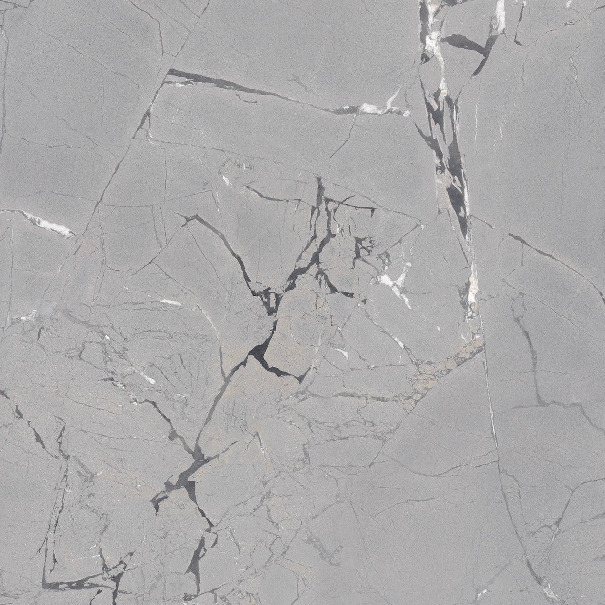 Limbus Thunder Rectified Porcelain Tile 100 x 100cm-Delforno