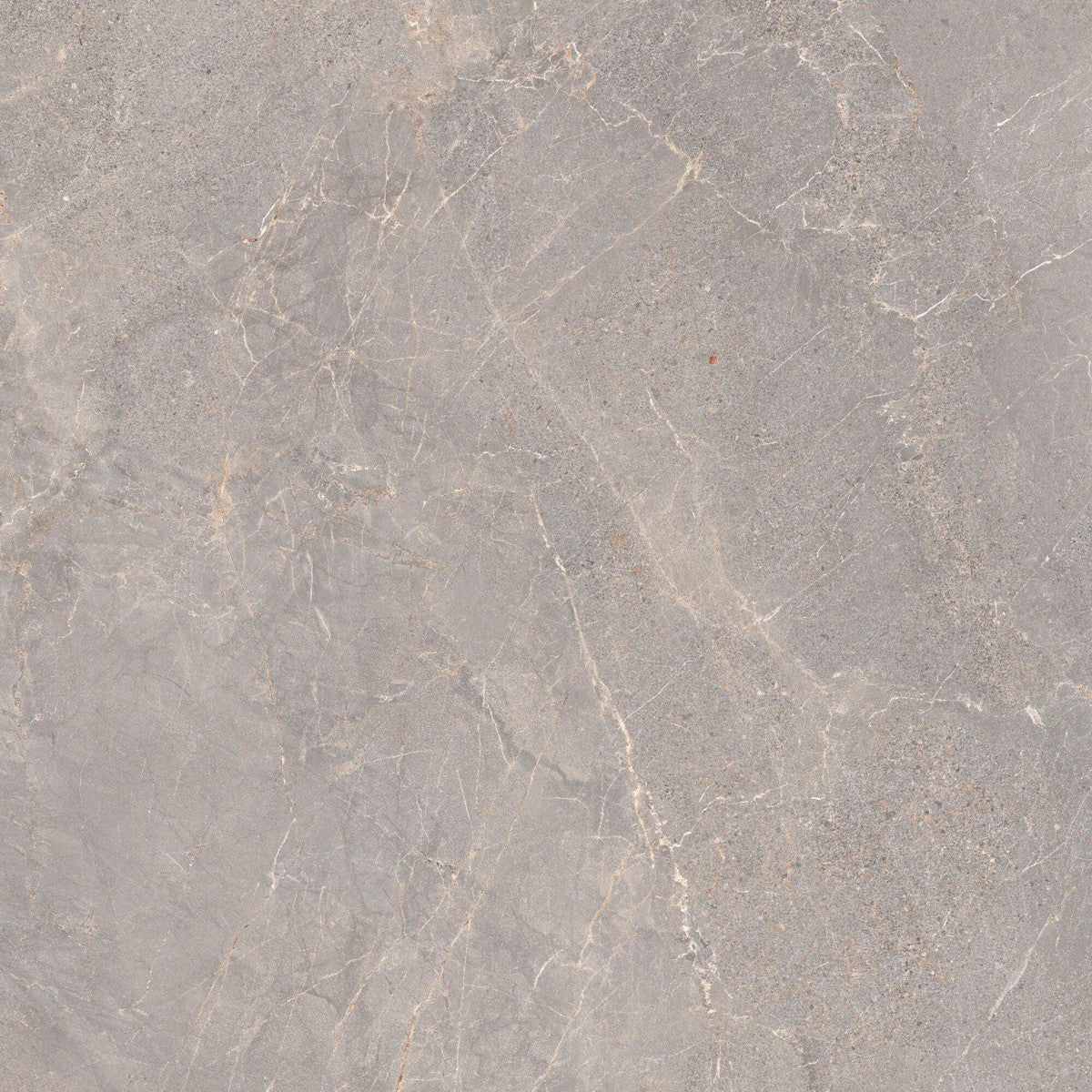 Stone Collection Alchemy Iron Porcelain Tile 120 x 120cm-Delforno