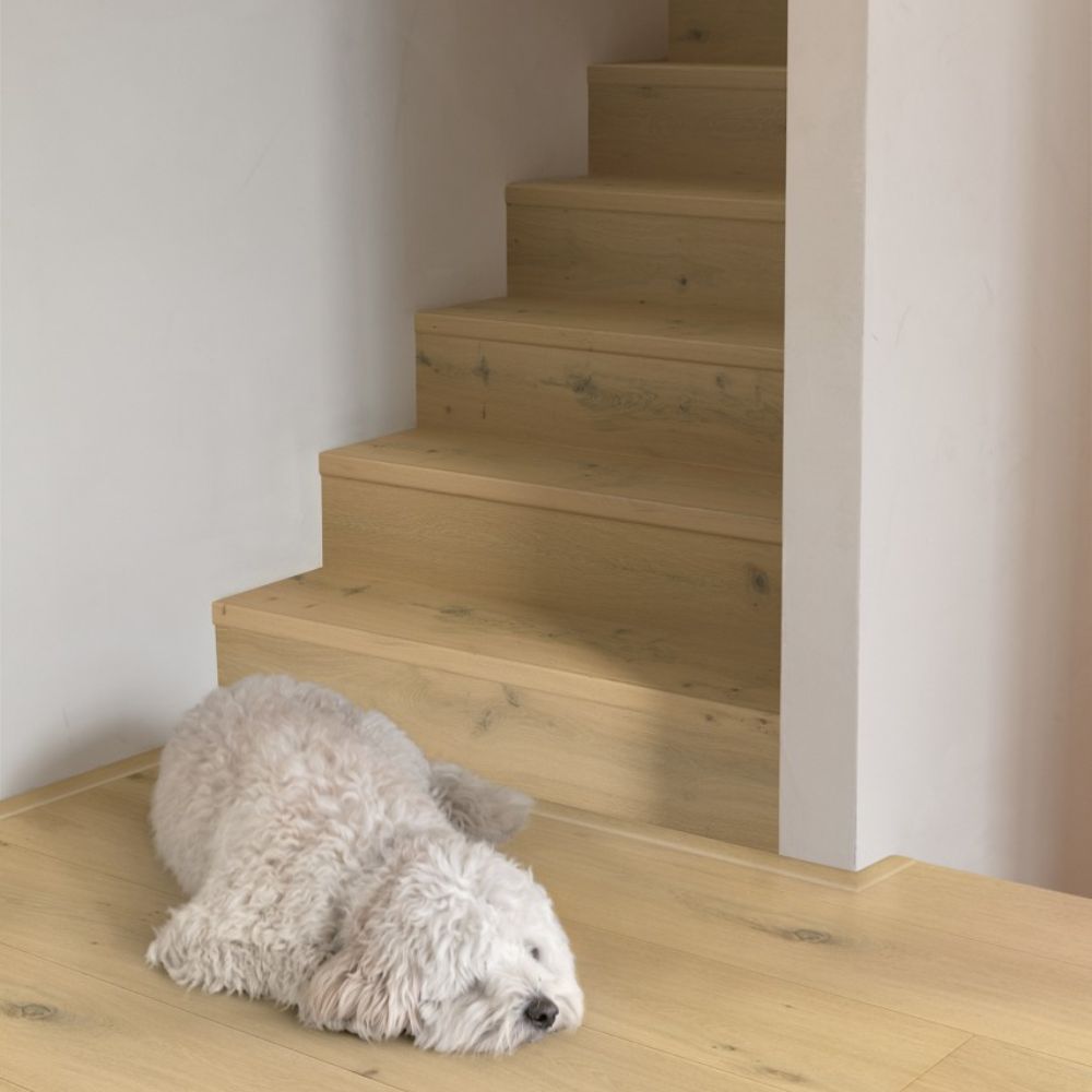 Pearl White Oak Extra Matt Engineered Hardwood Flooring 22 x 220cm-Delforno
