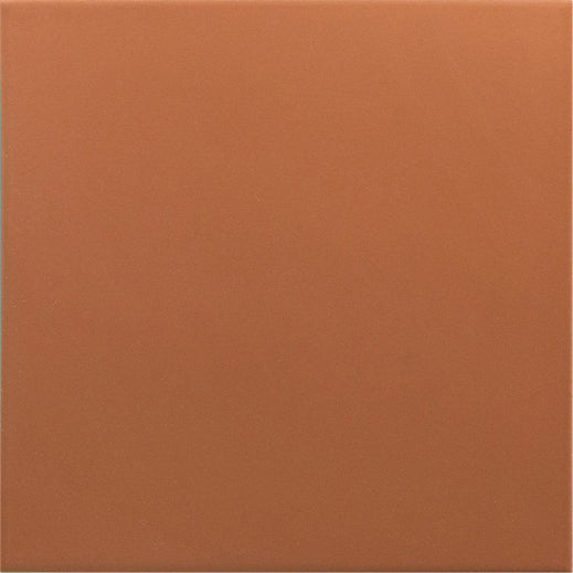 Rivoli Terre Porcelain Tile 20 x 20cm-Delforno