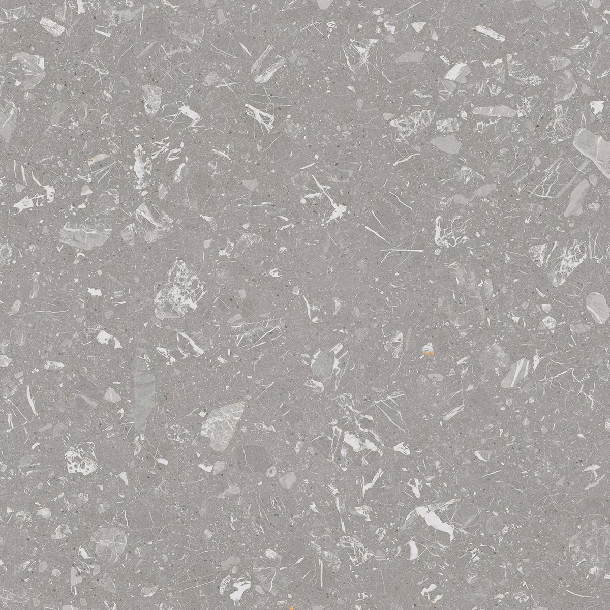 Large Format Loon R Grey Tile 120 x 120cm-Delforno Tiles & Timber-Delforno
