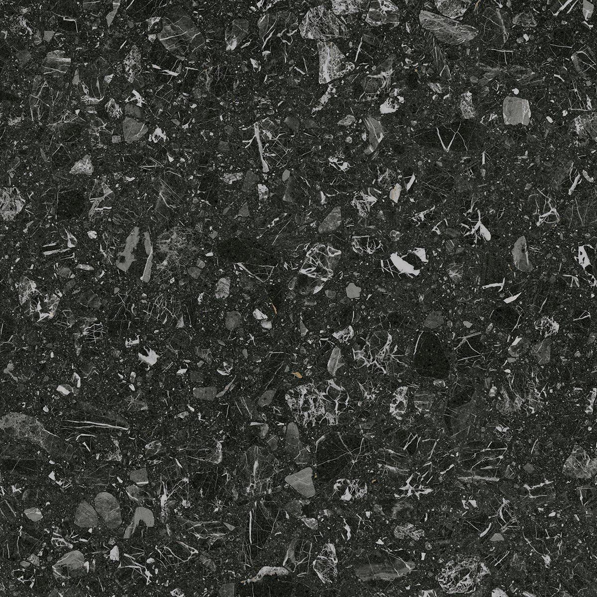 Large Format Loon R Black Tile 120 x 120cm-Delforno Tiles & Timber-Delforno