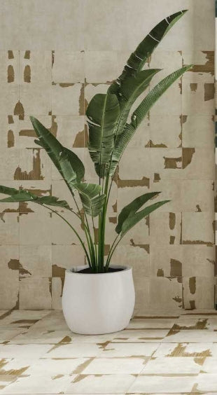 Carton White Natural Porcelain Decorative Tile 59.2 x 59.2cm-Delforno