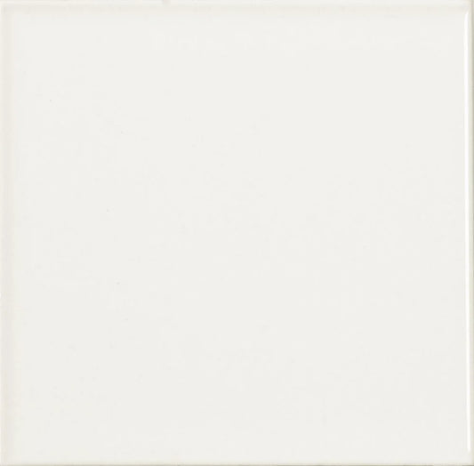 Blanco Liso Matt Ceramic Tile 15 x 15cm-Delforno