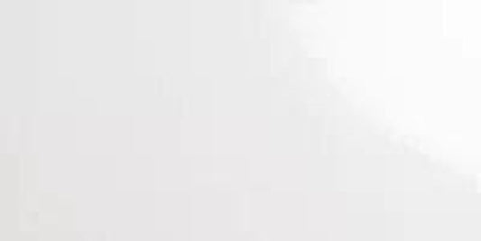 Flat Subway Collection Gloss White Tile 10x20cm-Delforno-Delforno