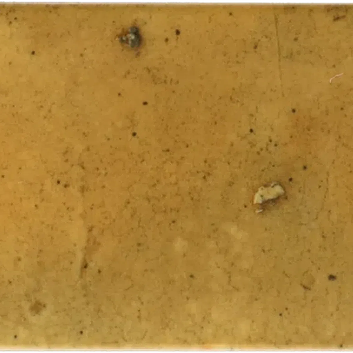 Small Format Hanoi Caramel Ceramic Tile 6.5 x 20cm-Delforno-Delforno
