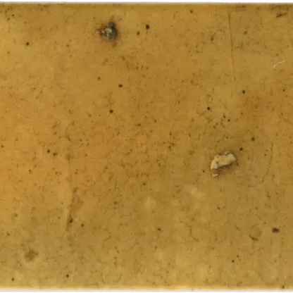 Small Format Hanoi Caramel Ceramic Tile 6.5 x 20cm-Delforno-Delforno