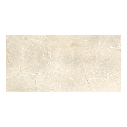 Flysh R Beige Porcelain Tile 60cm x 120cm-Delforno
