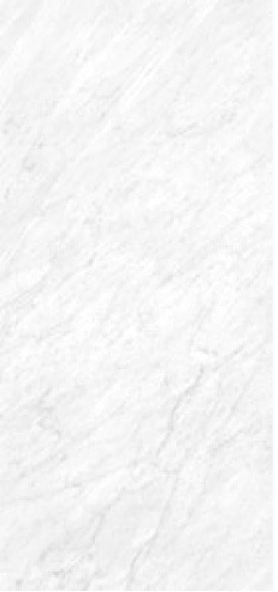 XL Slab Collection Pulidio Grande Marble Porcelain Tile 120 x 260cm-Delforno Tiles & Timber-Delforno