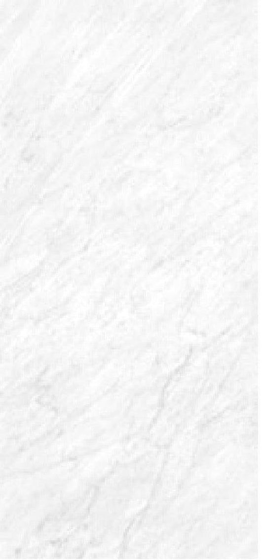 XL Slab Collection Pulidio Grande Marble Porcelain Tile 120 x 260cm-Delforno Tiles & Timber-Delforno