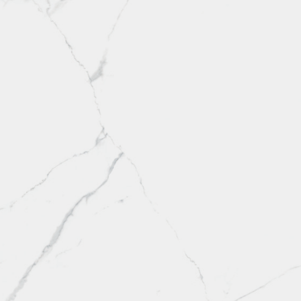 Calacatta Extra White Porcelain Tile 100 x 100cm-Delforno