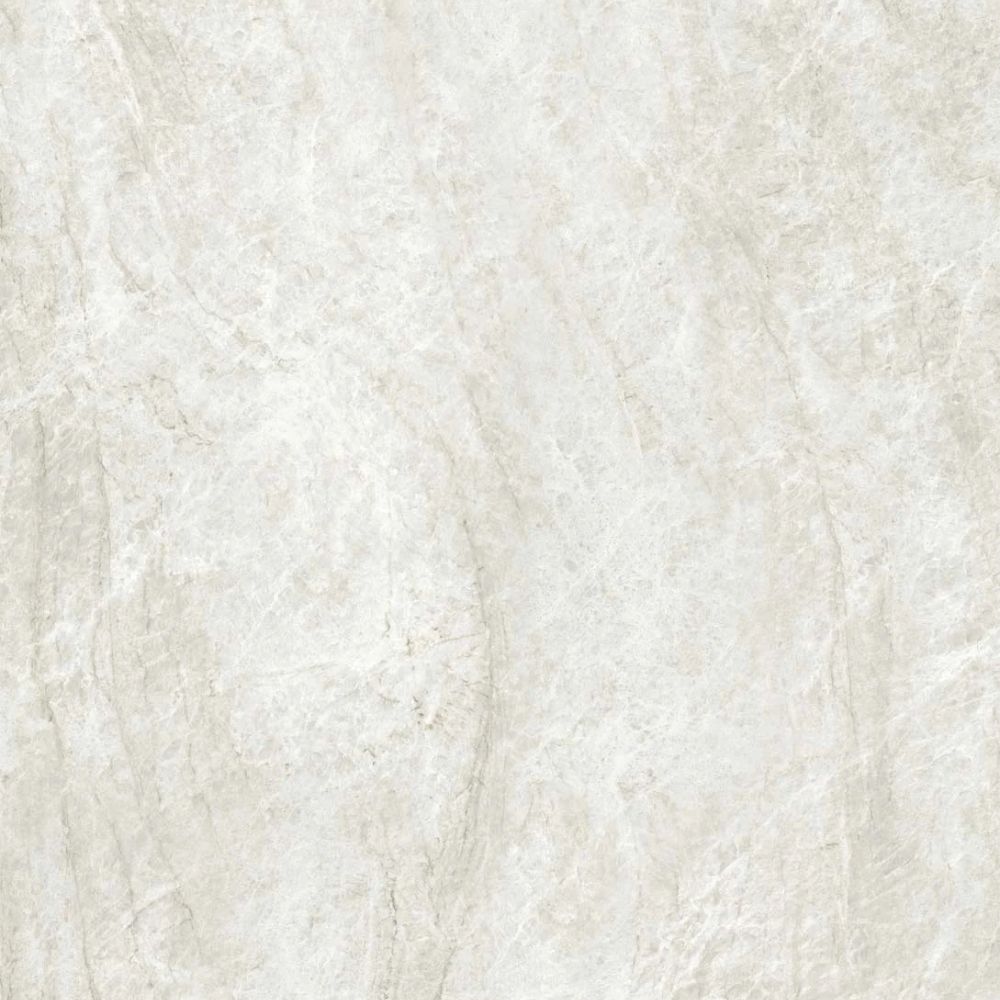 Taj Mahal Shell R9 60cm x 60cm-Delforno