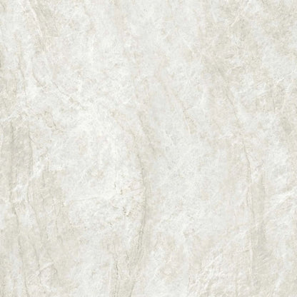 Taj Mahal Shell R9 60cm x 60cm-Delforno